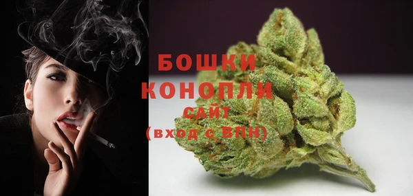 мдпв Великий Новгород