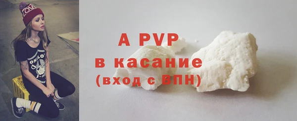 ECSTASY Липки