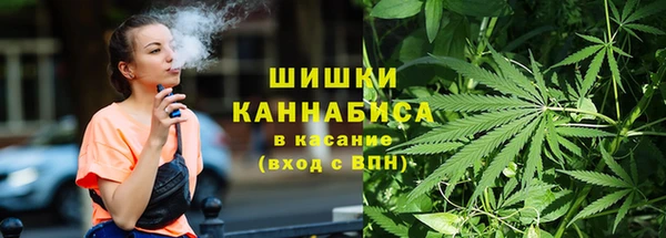 мдпв Великий Новгород