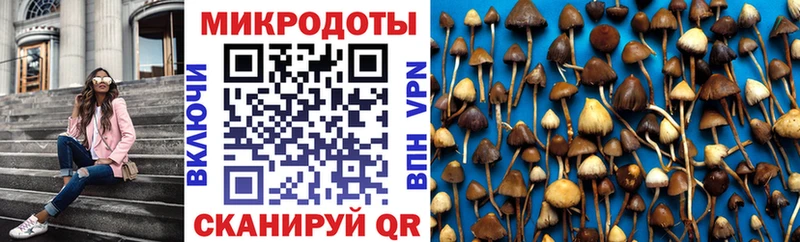 купить наркотик  Ишимбай  Псилоцибиновые грибы прущие грибы 